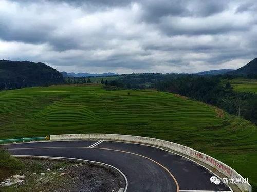 龙里孔雀寨山歌视频