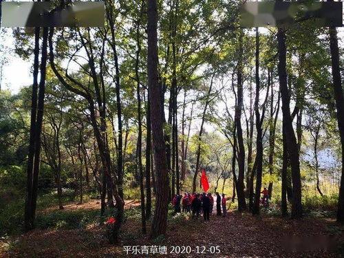 在线青草视频观看免费,免费享受视听盛宴