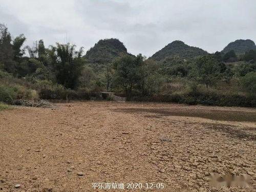 在线青草视频观看免费,免费享受视听盛宴