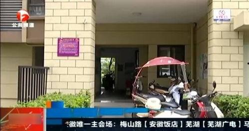 合肥视频网,聚焦城市风采,尽享视听盛宴