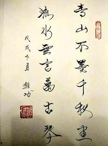 赵功书法视频,笔触间的文化传承与艺术魅力