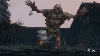 巨魔视频,揭秘网络世界中的神秘力量