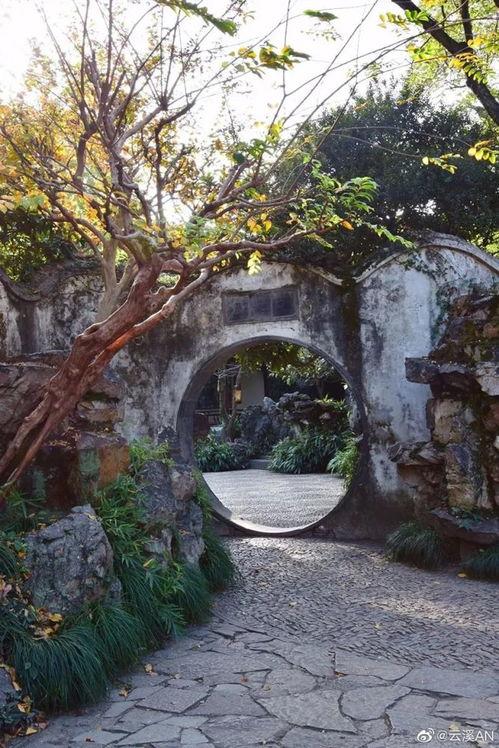 拙政园视频,穿越江南园林的古典画卷